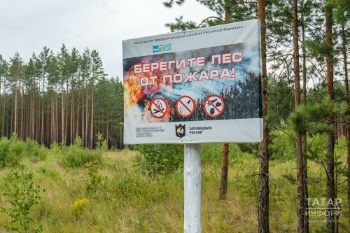 В Татарстане введен особый противопожарный режим