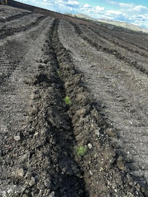 В селе Исергапово Бавлинского района рекультивировали свалку