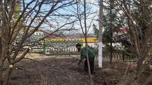 Бавлинцев предупреждают об ответственности за неправильную утилизацию растительных отходов