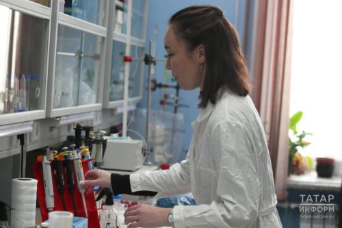 В бавлинской школе в следующем учебном году запускается новый образовательный проект