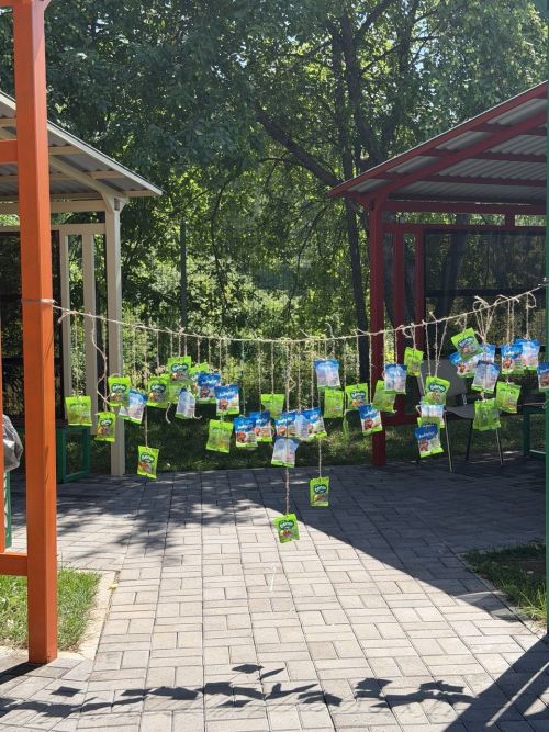 В Бавлах для отдыхающих в «Ласточке» провели Сабантуй