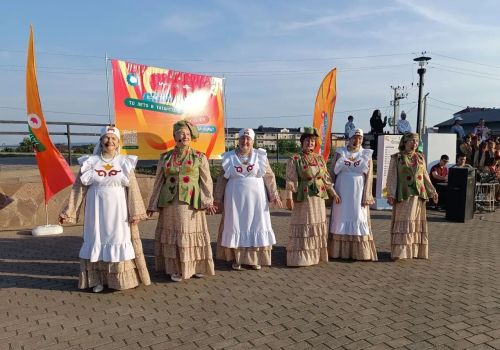 В Бавлах прошёл фестиваль дружбы и согласия