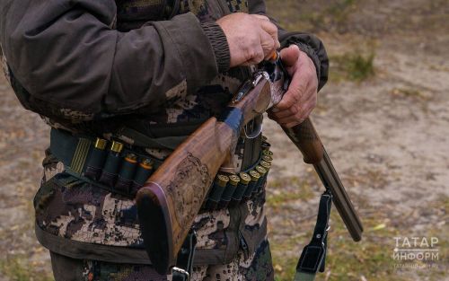Охоту на бурого медведя возобновляют в Татарстане