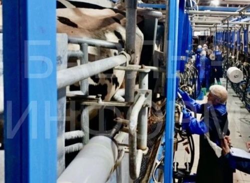 53-й республиканский конкурс операторов машинного доения прошел в Бавлах