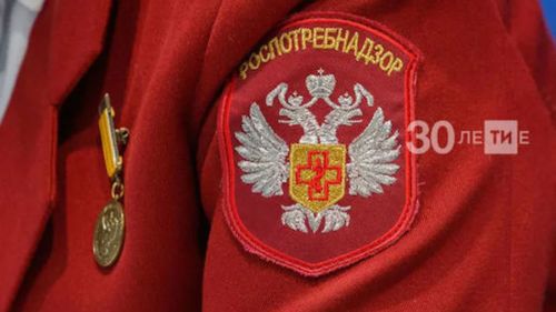 Роспотребнадзор сообщил о росте случаев ГЛПС и инфицированных грызунов в РТ