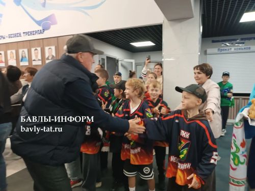 Бавлинцы вживую пообщались с легендами российского хоккея