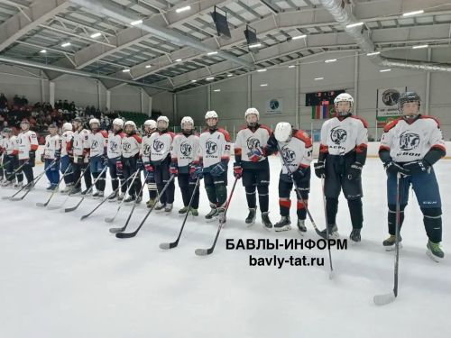 Ветераны «Ак Барса» сыграли со сборной Бавлинского района