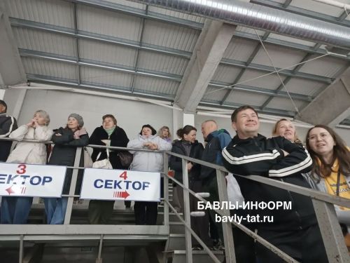 Ветераны «Ак Барса» сыграли со сборной Бавлинского района