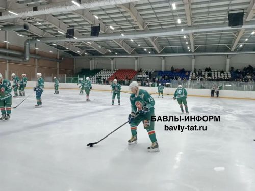 Ветераны «Ак Барса» сыграли со сборной Бавлинского района