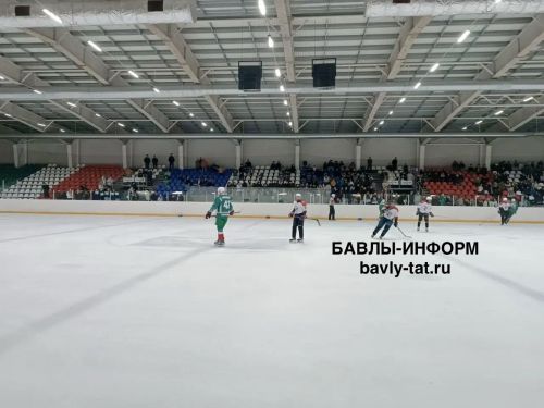 Ветераны «Ак Барса» сыграли со сборной Бавлинского района