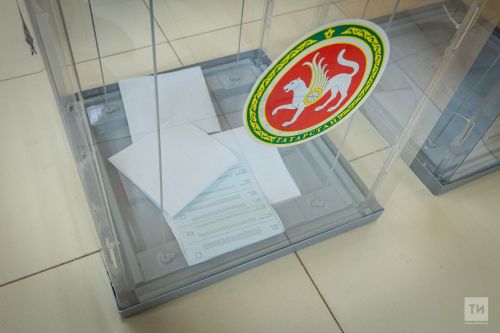 Раис Татарстана призвал жителей республики прийти на выборы в Госдуму