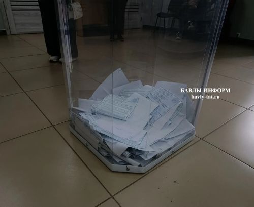 Около 30% жителей села Алексеевка Бавлинского района сделали свой выбор