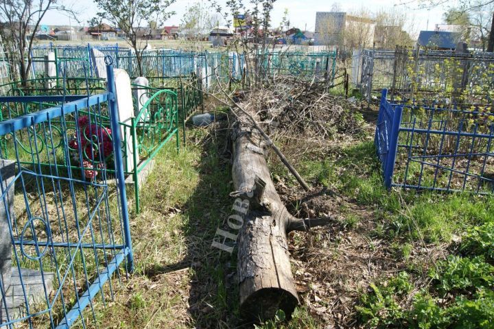 Поход на кладбище обернулся трагедией для жителя Татарстана