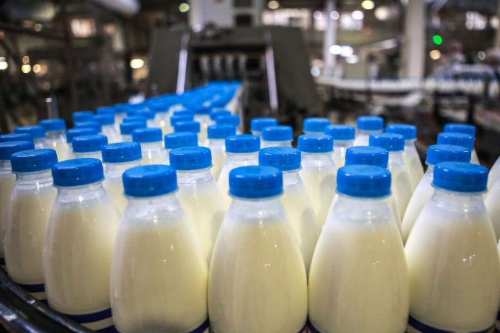 Бавлинцы смогут задать вопросы по качеству молочной продукции