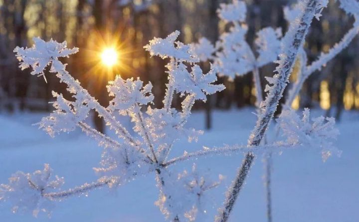 Народные приметы на 26 февраля