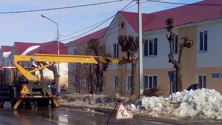 В Бавлах окультуривают деревья