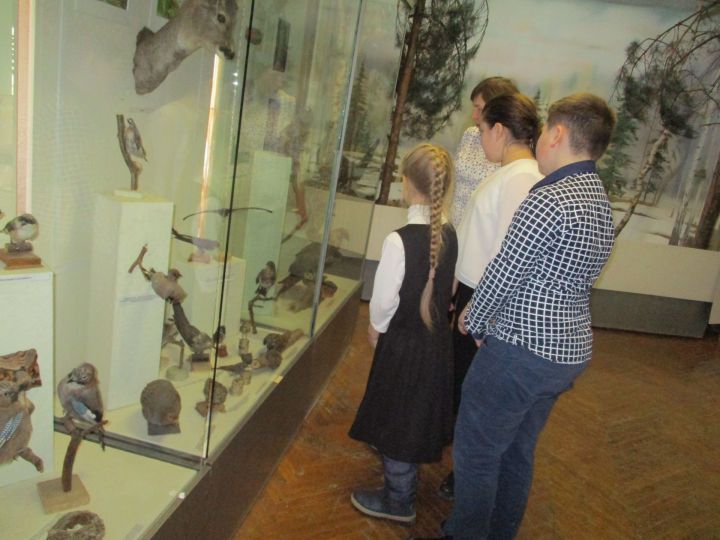 В Бавлинском музее провели день птиц