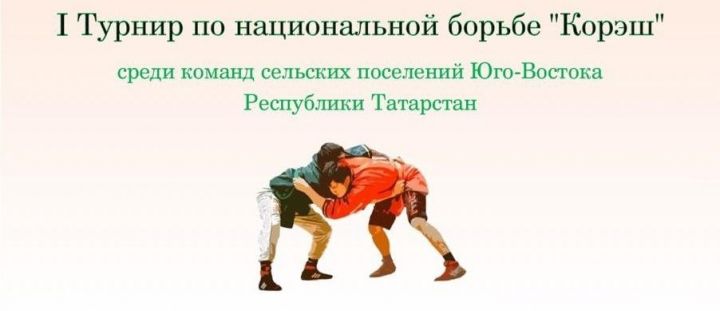 Бавлинцы примут участие в турнире по национальной борьбе корэш