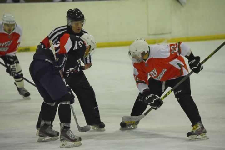 Бавлинские хоккеисты завершили сезон в Единой рабочей хоккейной лиге