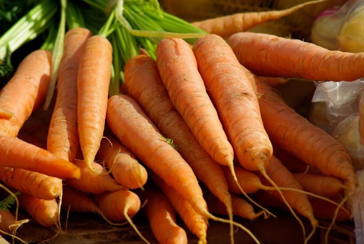 Как посадить морковь, чтобы  не пришлось прореживать