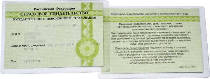 В России отменили бумажный СНИЛС. Что это значит и что делать?