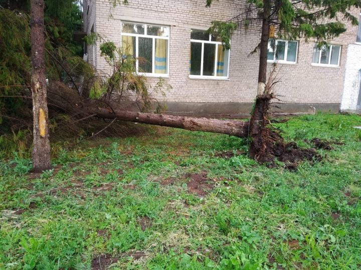 Шквалистый ветер в Альметьевске повалил деревья, сорвал куски кровли с домов