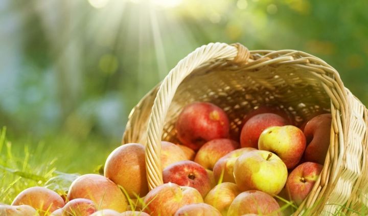 Яблочный спас: народные приметы на 19 августа
