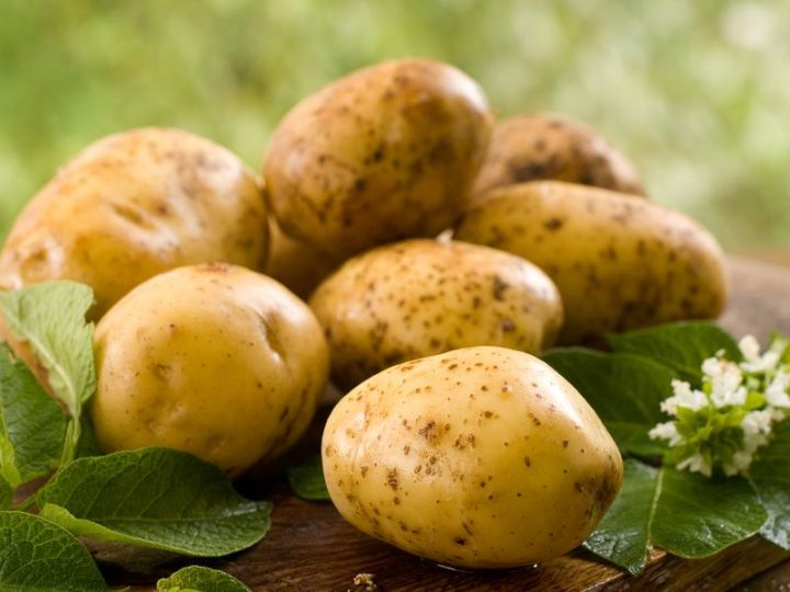 Бавлинцам на заметку: маринованный картофель