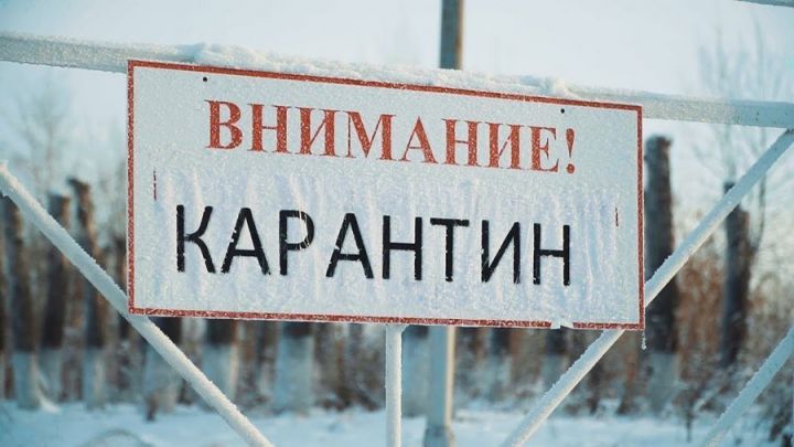 В Байтерякове Чистопольского района введен карантин по бешенству
