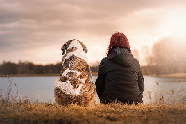 Ученые нашли связь между собакой в доме и риском шизофрении
