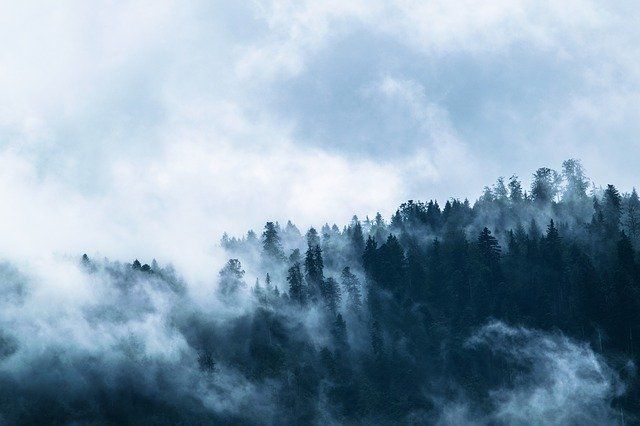 Ночью и утром 2 октября 2020 г. на территории Республики Татарстан местами ожидается туман.