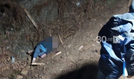 Ночью в Кукморе ликвидировали злоумышленника , напавшего на полицейских с ножом