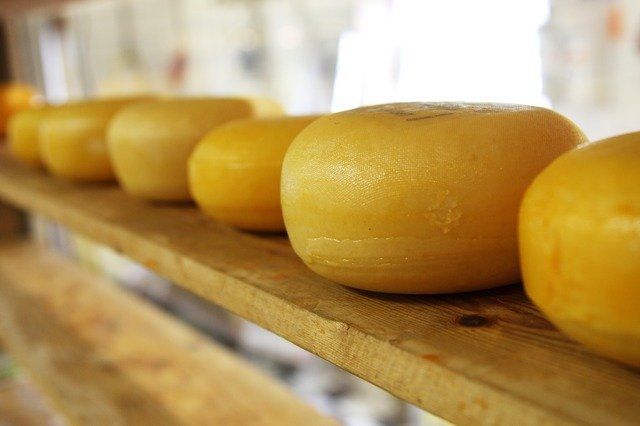 Продолжительность жизни на 25% повышает регулярное употребление сыра