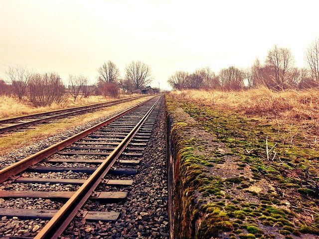 Минтранс РФ сообщил, когда в стране железные дороги восстановят пассажиропоток