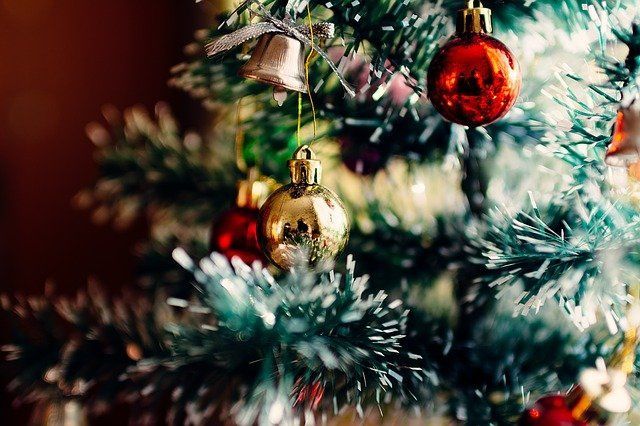 Новые требования к установке новогодней елки вступят в силу с 1 января