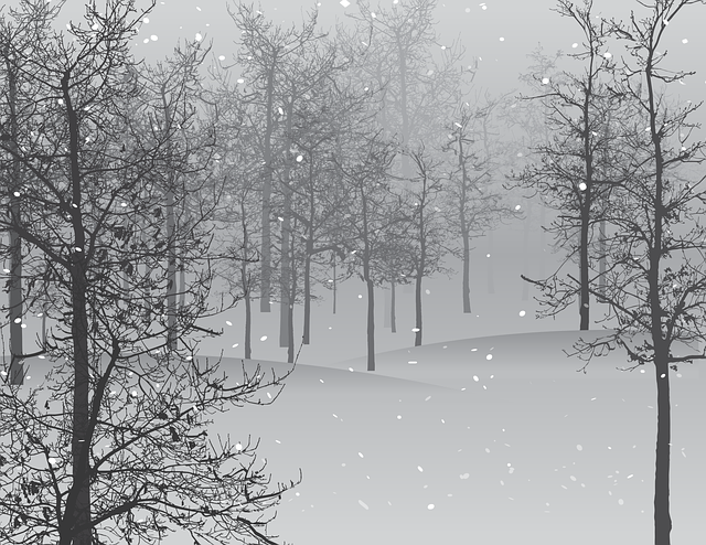 Утром и днем 26 декабря на территории РТ ожидаются: сильный снег и метель с ухудшением видимости до 500-1000 метр