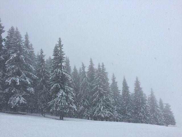 27 декабря на территории РТ ожидаются: сильный снег и метель с ухудшением видимости до 500-1000 метров