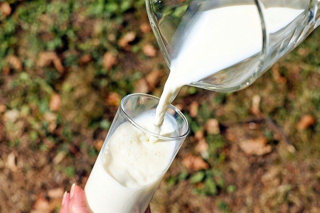 В России с 20 января начнется добровольная маркировка молочной продукции