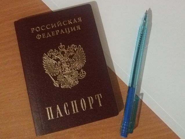 В России могут упростить получение гражданства жителям четырёх стран