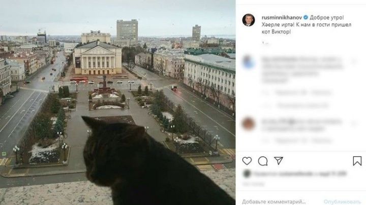 Известный кот Виктор побывал в гостях у президента Татарстана