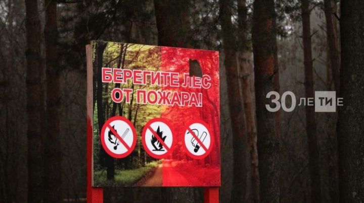 В Татарстане появятся две новые лесопожарные станции благодаря нацпроекту "Экология"