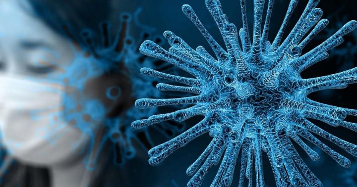 Галимнәр Россиядә коронавирус эпидемиясенең тәмамлану вакытын фаразлады