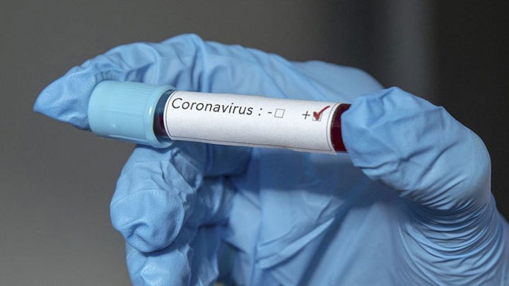 Названа дата пика заболеваемости коронавирусом в России