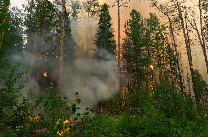 Вновь объявлено штормовое предупреждение: теперь из-за пожароопасности лесов