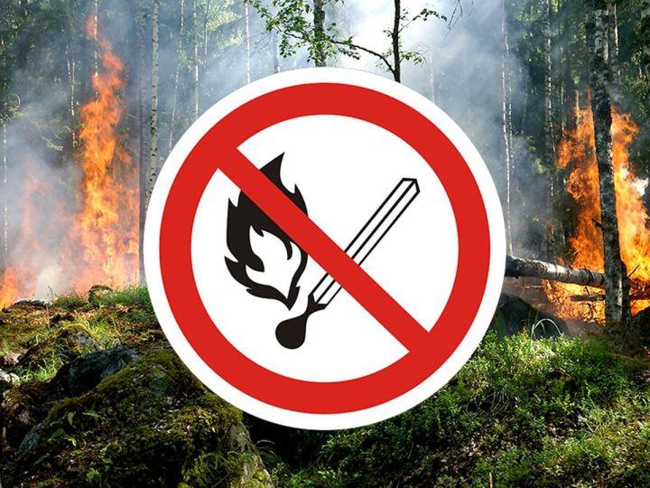 МЧС РТ объявило штормовое предупреждение о высокой пожарной опасности лесов