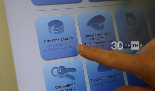 В РТ в систему «Народный контроль» с начала 2020 года поступило около 40 тыс. заявок