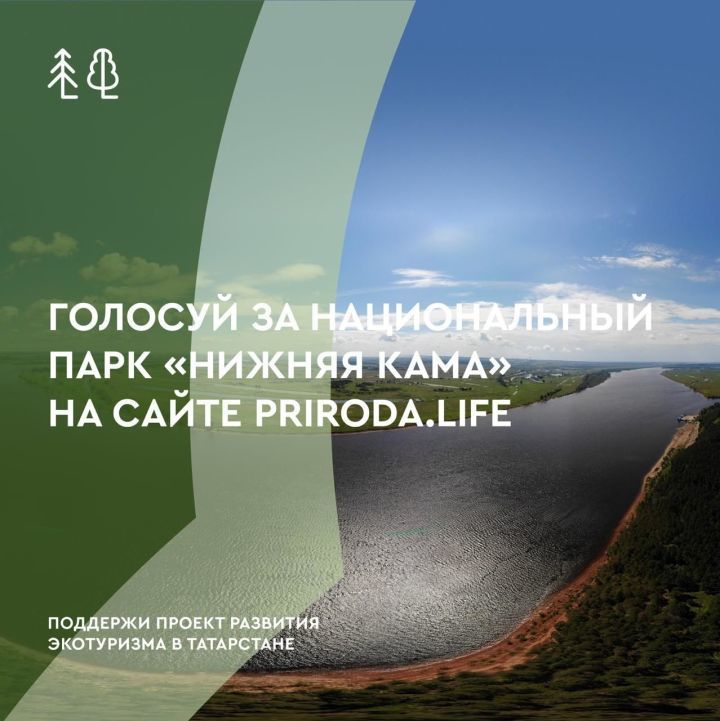 Татарстанцы стали голосовать активнее на экоконкурсе после призыва Минниханова