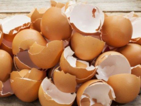 5 причин не выбрасывать яичную скорлупу