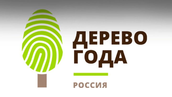 Бавлинцев призывают проголосовать в конкурсе «Российское дерево года – 2020»