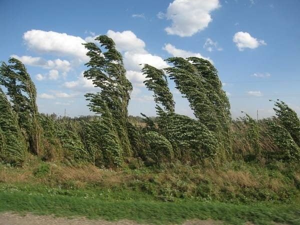 Порывы ветра ожидаются сегодня ночью и завтра, 14 сентября, по Татарстану